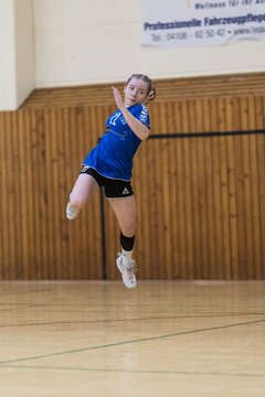 Bild 186 - wBJ TSV Ellerau - HSG Stoertal Hummeln : Ergebnis: 26:19